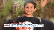 Image via WXYZ-TV Detroit | Channel 7